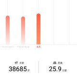 步数