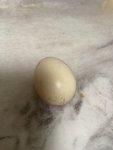 21天减脂餐打卡，Day15