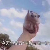 换季＋熬夜＋加班＋上火