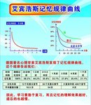 【飞鸟18读书26】读《给孩子的未来脑计划》之智力脑（三）