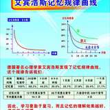 【飞鸟18读书26】读《给孩子的未来脑计划》之智力脑（三）