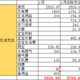 小玉米粥#记账大当家|1月总结&2月预算