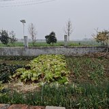 2025.2.2 收拾行囊和家乡菜，准备返程