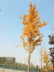 入冬的11月
