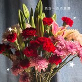 先生送花了～