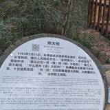 清明花费1000+