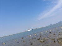 来海边转转