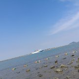 来海边转转