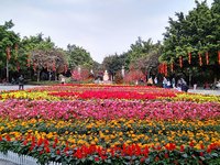 记录春节在广州的旅行~