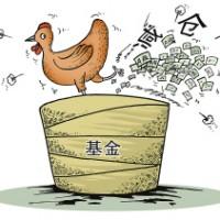 大跌，鸡窝加仓OR减仓