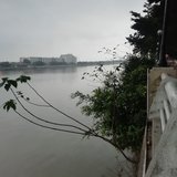 春江水暖鸭先知