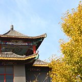镜头下的家乡，美美哒～