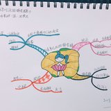 53.别着急吃你的棉花糖