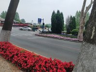 五天四晚的大连行，发一波照片记录一下我遇见的美丽大连～