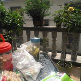 晒太阳，看电视，刷手机，听音乐，喝茶