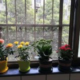 春天的气息浓郁而芬芳