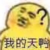 路青书