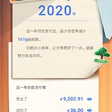 2020年支付宝支出