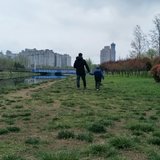 倒春寒