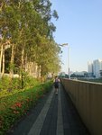 2025开启一周三次🏃‍♀️