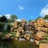 8.23，祈愿平安顺遂～