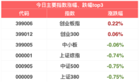 今日股市小幅下跌 | 12月5日指数估值