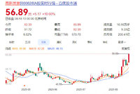 【熊太太的T1000】20250818 高新第二个涨停，撒花