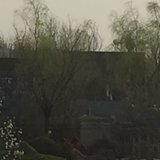 春天来了