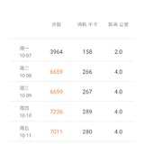 【雪桐】2019年第41/52周总结及下周计划