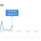 2020年双十一的花费9215.17元