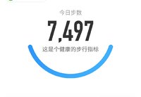 打卡7497