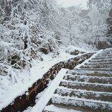爬峨眉山