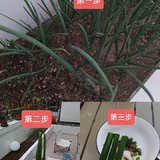 晒晒北方婆婆的花样面食（二）
