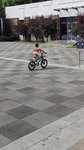2025.6.25-6.29  每天户外2小时