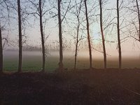 仙境一样的早晨