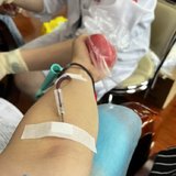 第四次献血