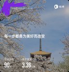 今天开跑了终于