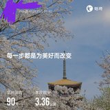 今天开跑了终于