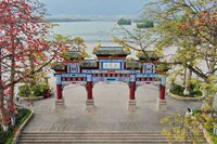 好想去赏赏花散散心
