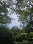沾沾普陀山的香火气