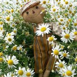 #早安，晨型人#4月11日打卡专贴