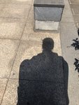 养生打卡14