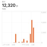 12.11打卡:1.2万步