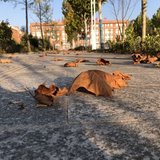 有目标，才会早起