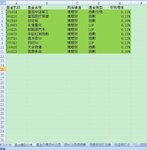 菜芽教你做一个半自动化的基金管理表格