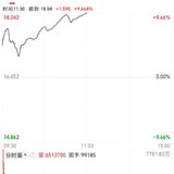 唯一涨停的股居然是涨幅最低的 240930