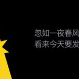 牛市来了