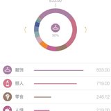 12月总结&1月预算