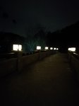 傍晚公园里放风