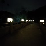 傍晚公园里放风